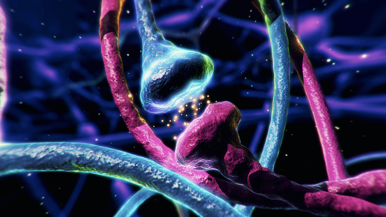 Neuron synapse,impulses in brain.