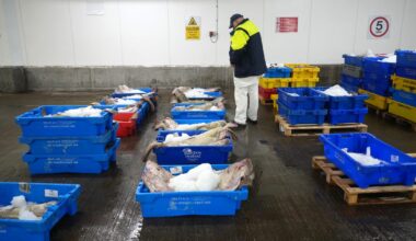UK rejects EU plan to tie defense pact to fishing quotas – POLITICO