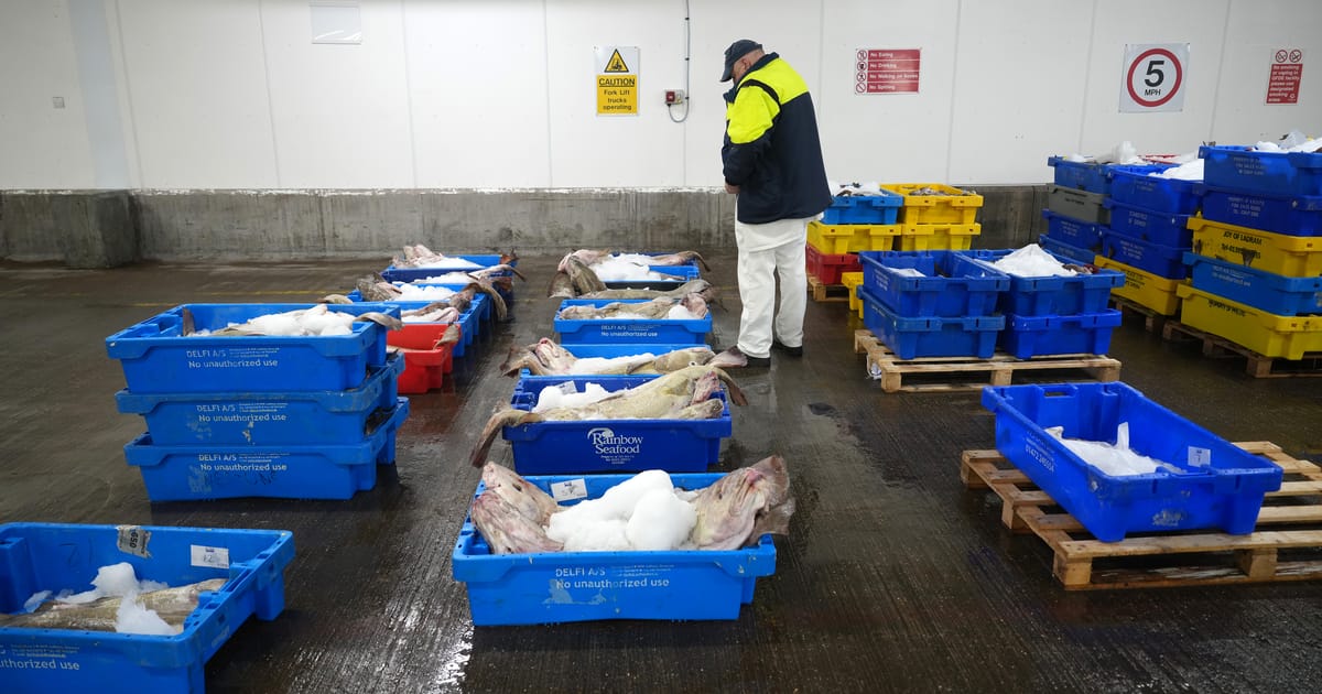 UK rejects EU plan to tie defense pact to fishing quotas – POLITICO