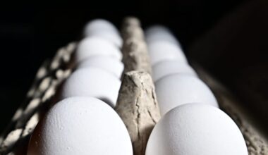European eggflation slows down as American prices surge under Trump – POLITICO