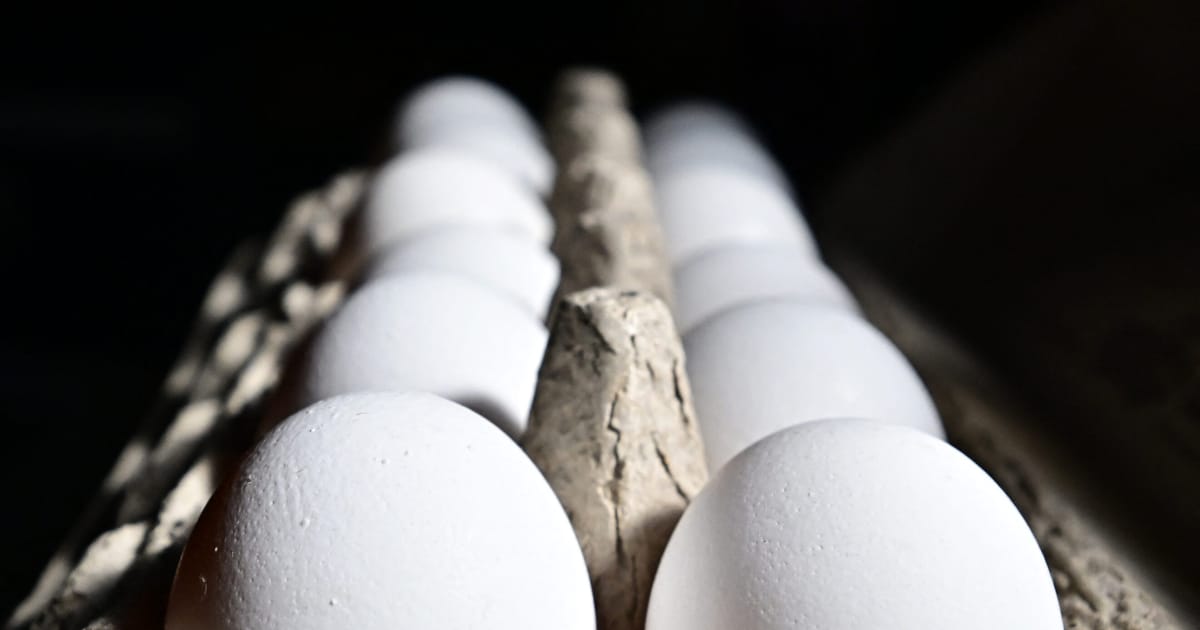 European eggflation slows down as American prices surge under Trump – POLITICO