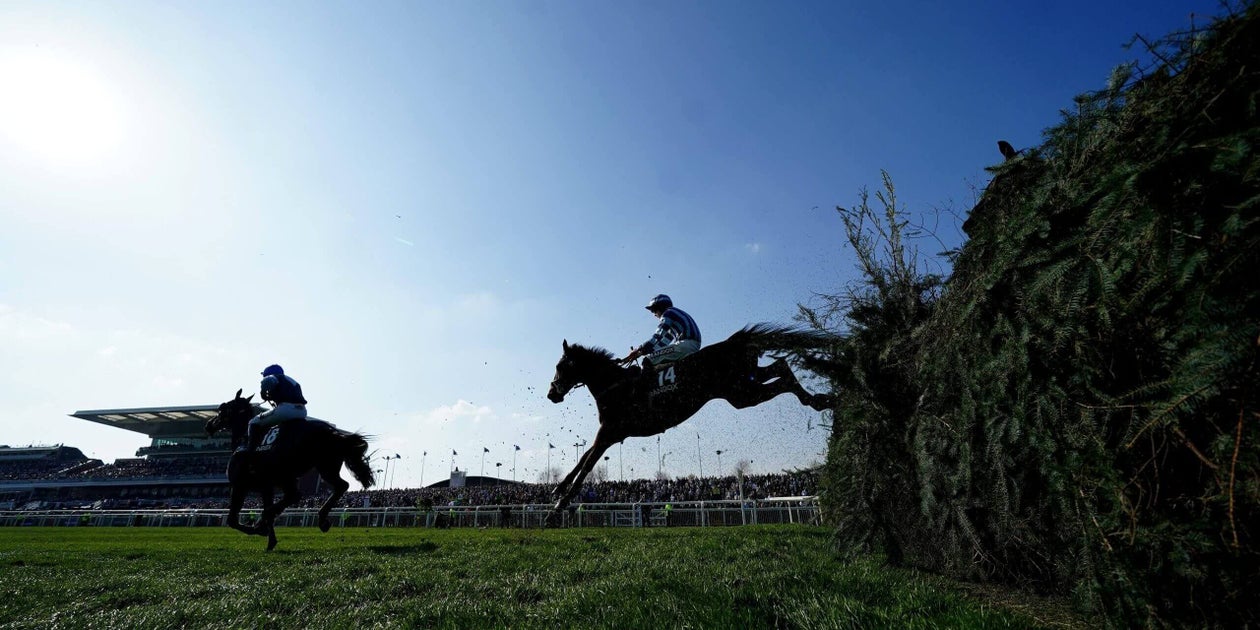 The Grand National: Why Britain’s most celebrated horse race has become so divisive