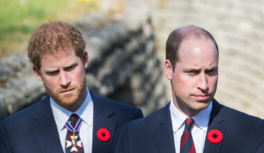 Critics Think Prince William Is 'Targeting' Harry & Meghan With Controversial Hiring Decision