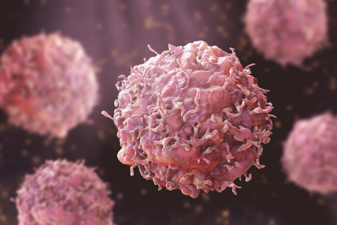 Cancer Cells