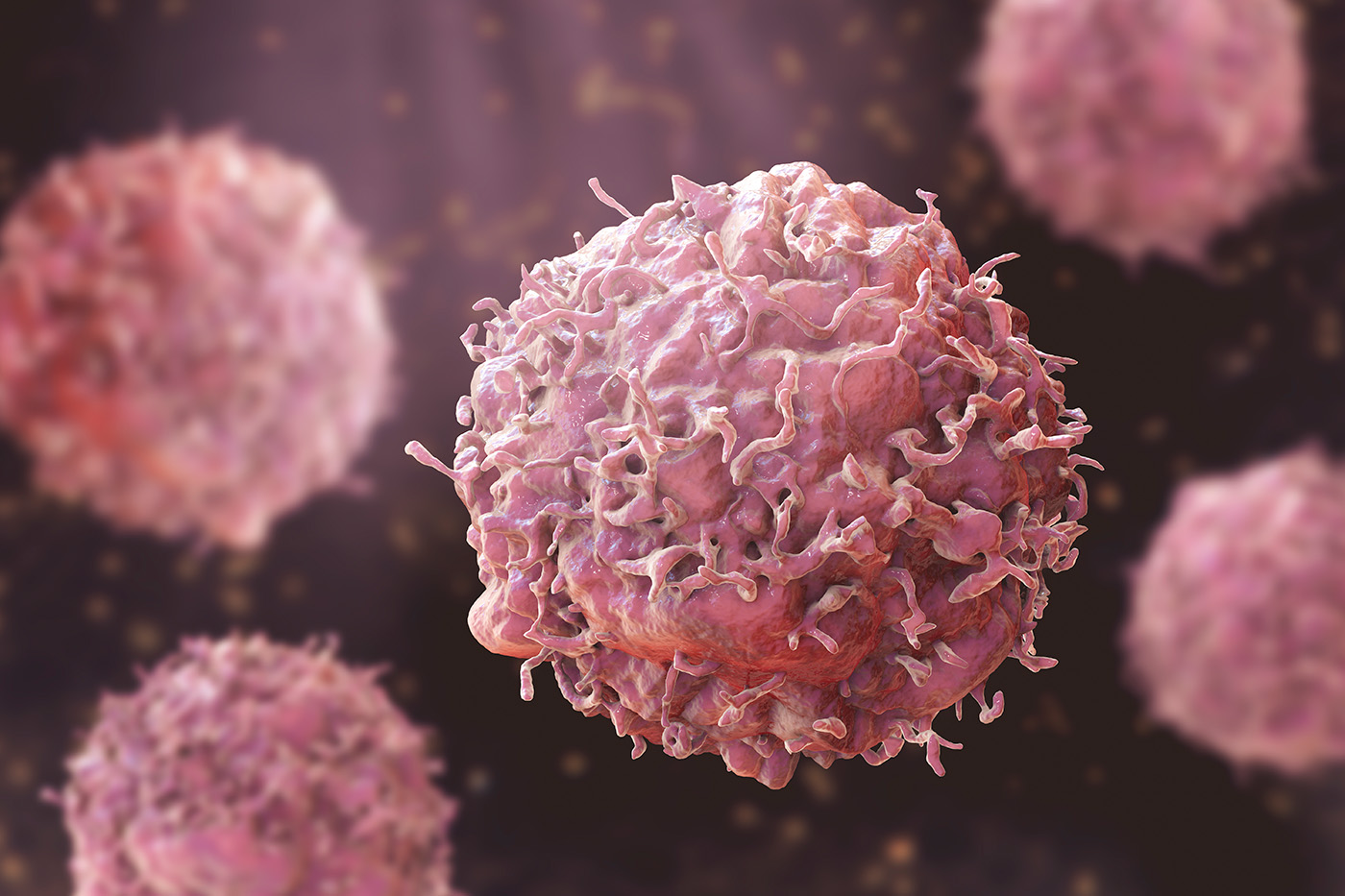 Inherited DNA as Well as Tumor Mutations Drive Cancer