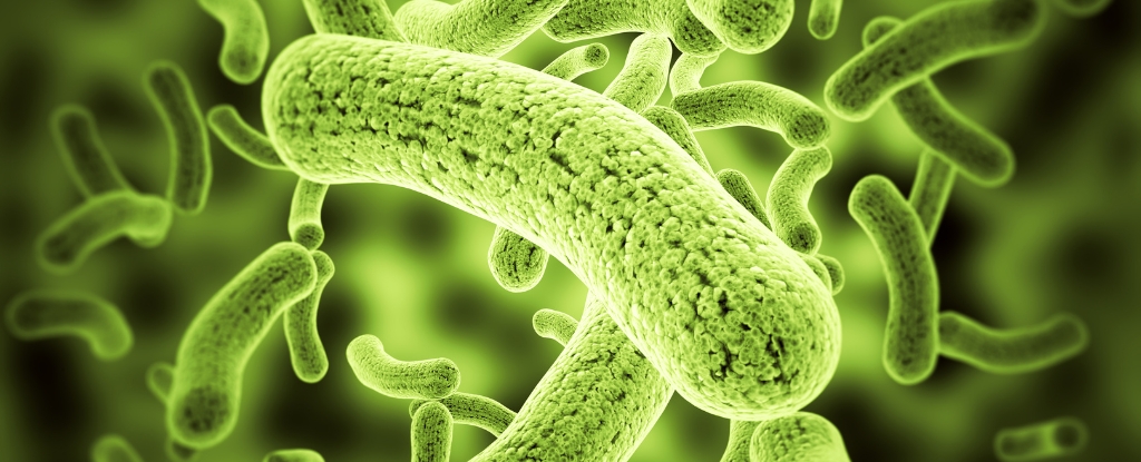 Scientists Engineer Bacteria to Make Soil And Crops 'Glow' Different Colors : ScienceAlert