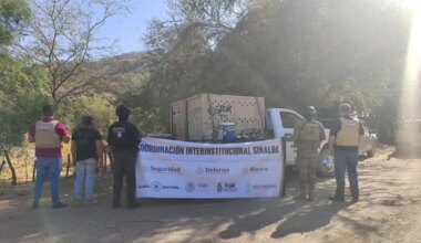 Bengal tigers rescued in Sinaloa by Ostok Sanctuary