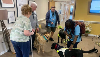 Guide Dogs Bring Joy And Learning To Liverpool Care Home
