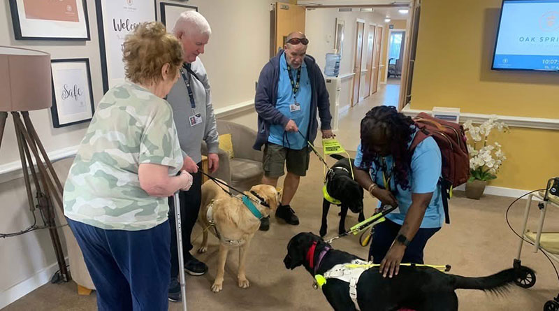 Guide Dogs Bring Joy And Learning To Liverpool Care Home