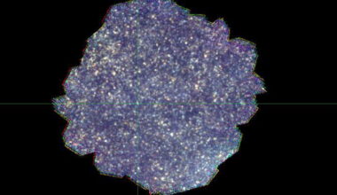 hidden galaxies