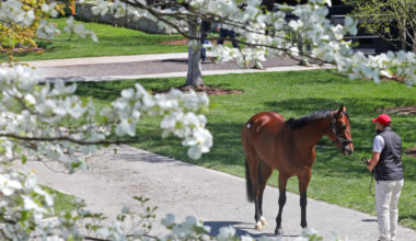 Keeneland's April Horses Of Racing Age Sale Set To Follow Racing On Friday's Closing Day