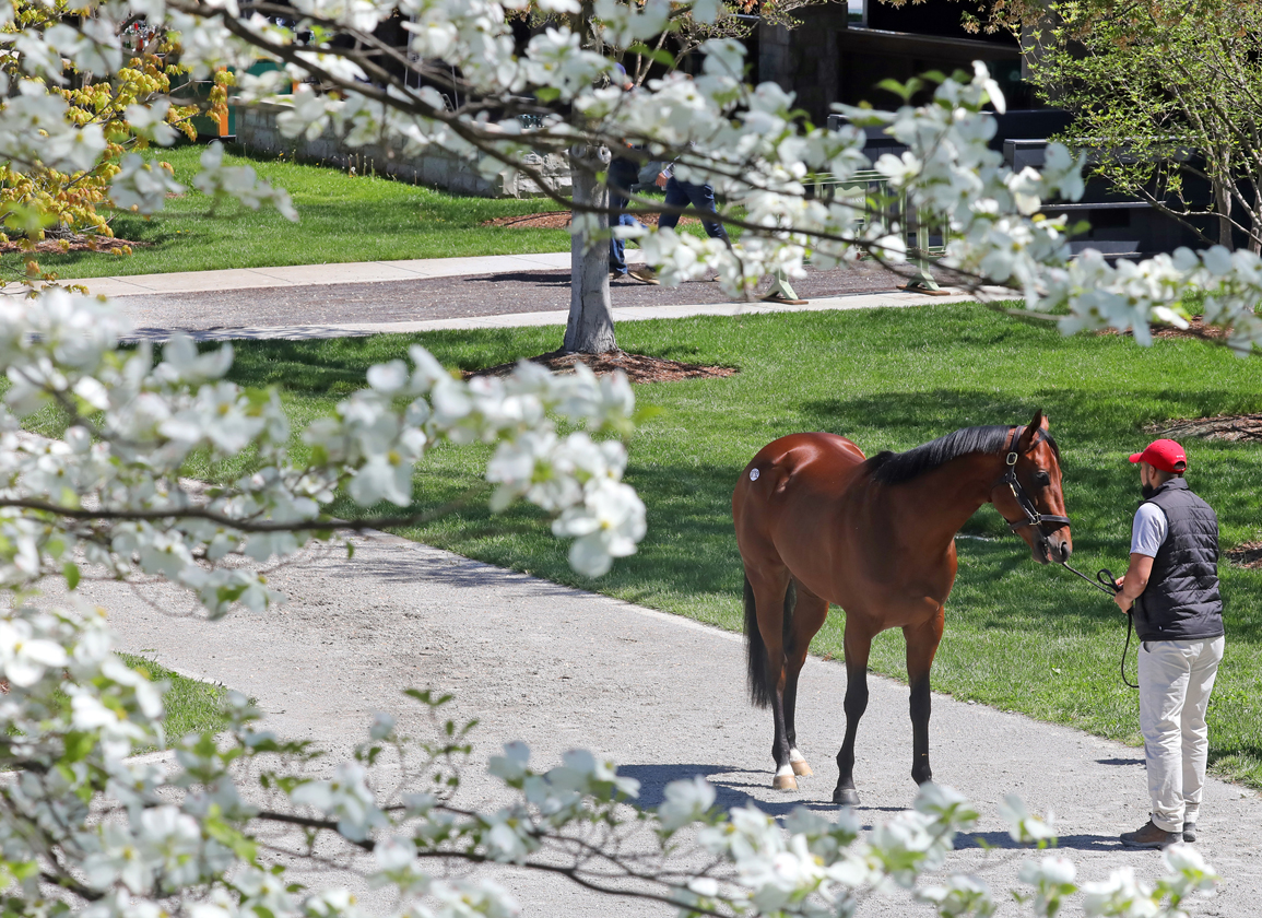 Keeneland's April Horses Of Racing Age Sale Set To Follow Racing On Friday's Closing Day