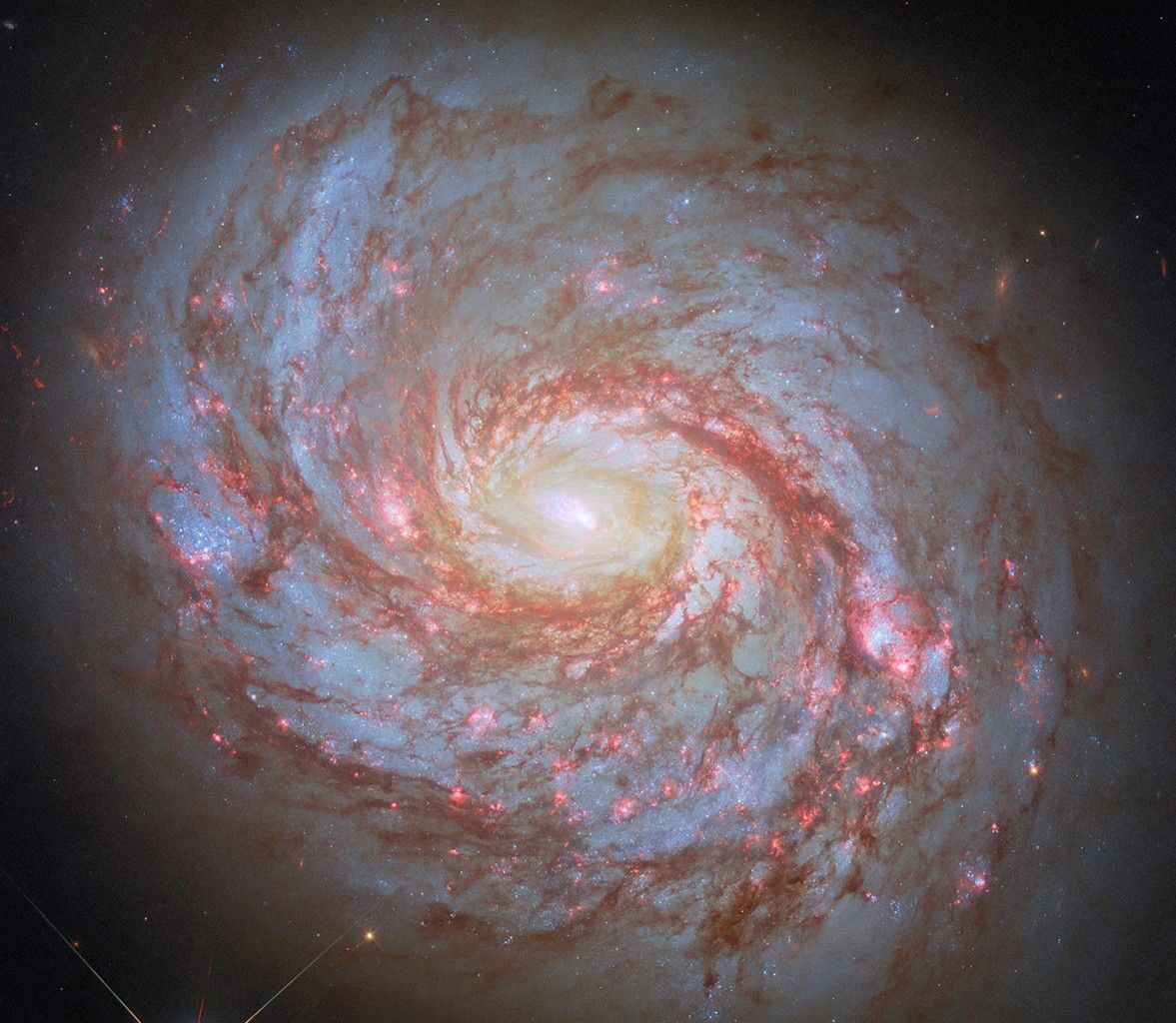 A close-up, face-on view of a spiral galaxy. Its center glows brightly. Spiral arms emerge from the galaxy’s core and wind through the round disk of the galaxy. You can spot these arms by their dark-red dust lanes and dots of brightly-shining, pink spots where stars are forming. Some faint stars are visible around the galaxy, as well as a particularly bright foreground star near the lower-left corner of the image.