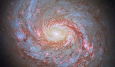 A close-up, face-on view of a spiral galaxy. Its center glows brightly. Spiral arms emerge from the galaxy’s core and wind through the round disk of the galaxy. You can spot these arms by their dark-red dust lanes and dots of brightly-shining, pink spots where stars are forming. Some faint stars are visible around the galaxy, as well as a particularly bright foreground star near the lower-left corner of the image.