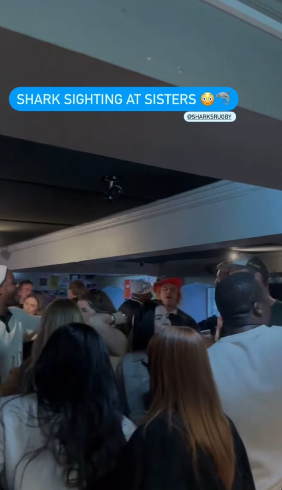 Crowd of people in a bar; shark sighting announcement.