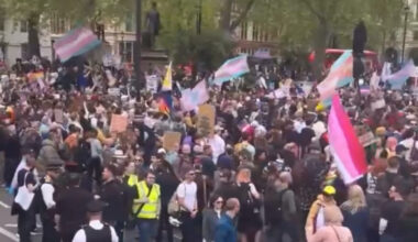 Statues vandalised during trans rights protest in London – police appeal for information