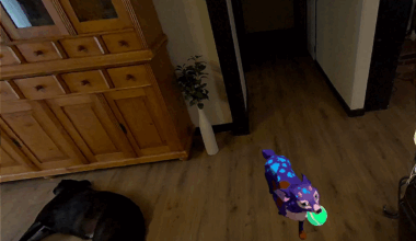 Forever Home Brings A Mixed Reality Pet Sim To Quest Today