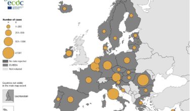 Country reports from Austria, Belgium, Bulgaria, Croatia, Cyprus, Denmark, Finland, France, Germany, Greece, Hungary, Iceland, Ireland, Italy, Latvia, Liechtenstein, Lithuania, Luxembourg, Malta, the Netherlands, Norway, Poland, Portugal, Romania, Slovakia, Slovenia, Spain, Sweden.