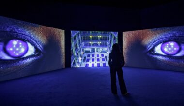 Isaac Julien at the de Young Museum, Review: An Electrifying Survey