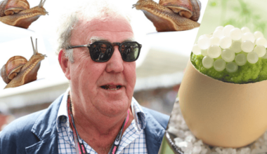 Snail caviar: will Jeremy Clarkson's new favourite snack catch on?