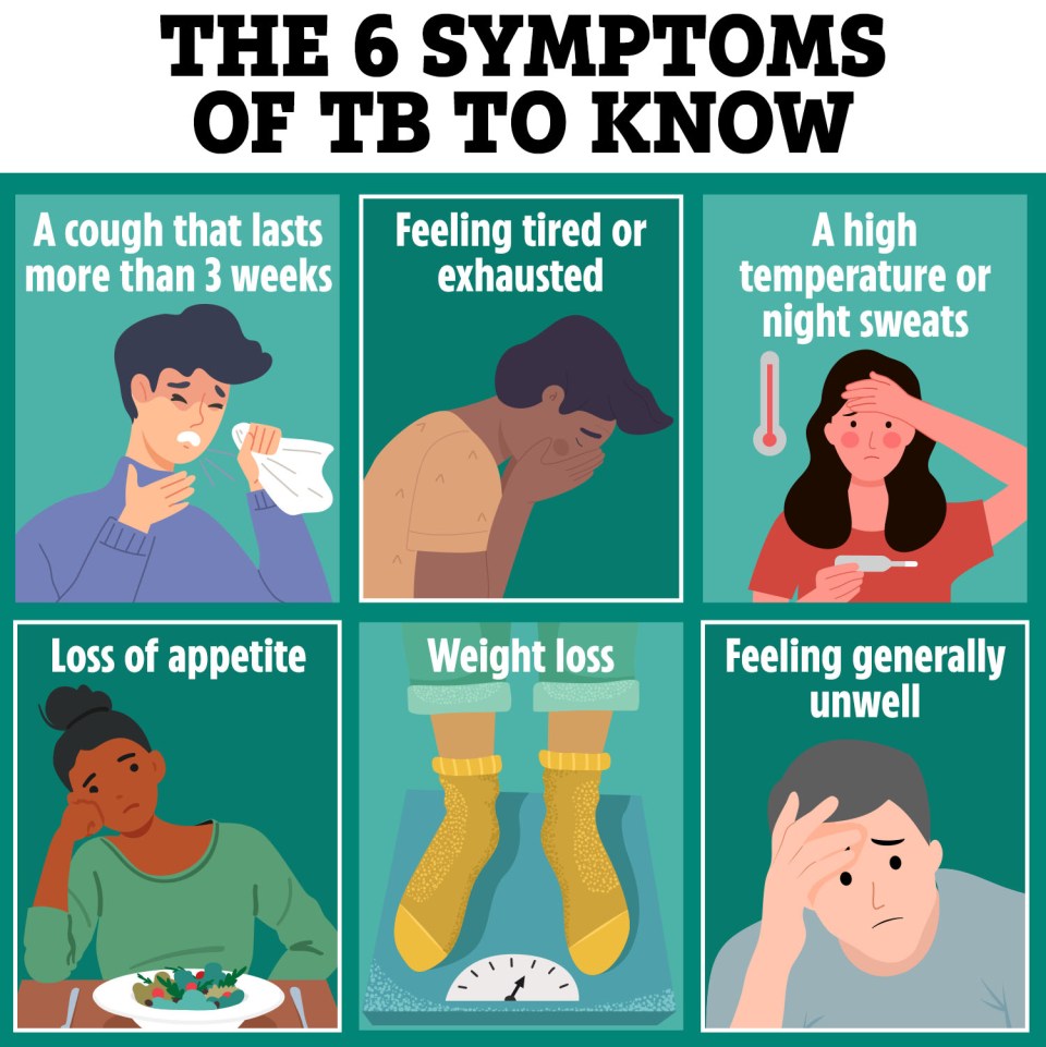 Illustration of six symptoms of tuberculosis: cough lasting over three weeks, tiredness, high temperature or night sweats, loss of appetite, weight loss, and generally feeling unwell.