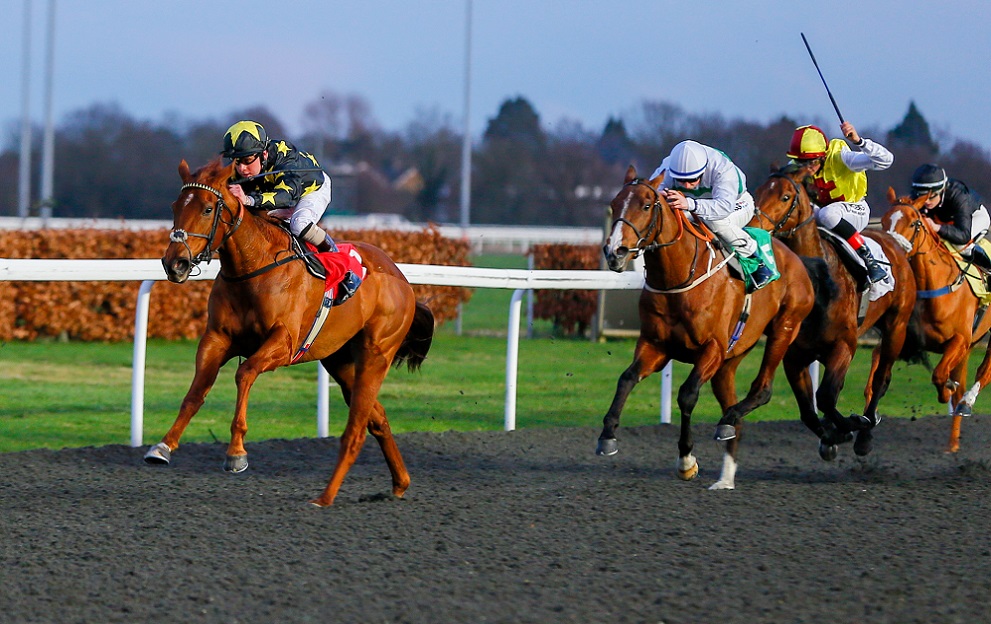 An 8/1 shot leads the way at Kempton tonight