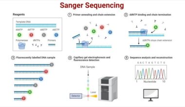 Sanger Sequencing Market
