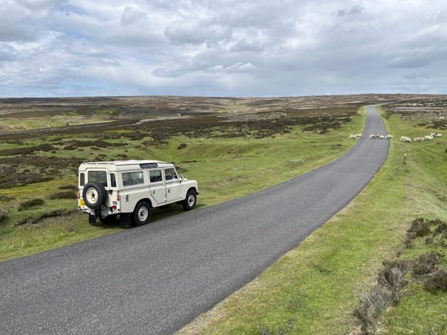 Letting Sheep Pass England