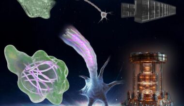 Quantum Biology