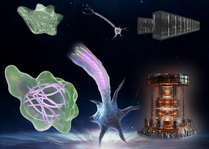 Quantum Biology