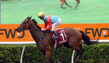 Kiwi star’s manners cost him in Hong Kong mega-money race
