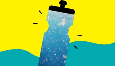 Are Microplastics in Your Sports Nutrition? – Triathlete