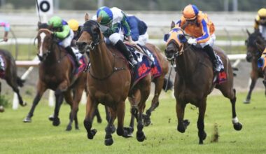 Horse racing: Nereus starts Kiwi Queensland invasion early