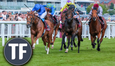 Timeform's Saturday shouts at Newbury