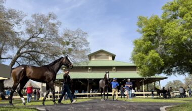 OBS Consolidates June Two-Year-Olds And Horses Of Racing Age Sale