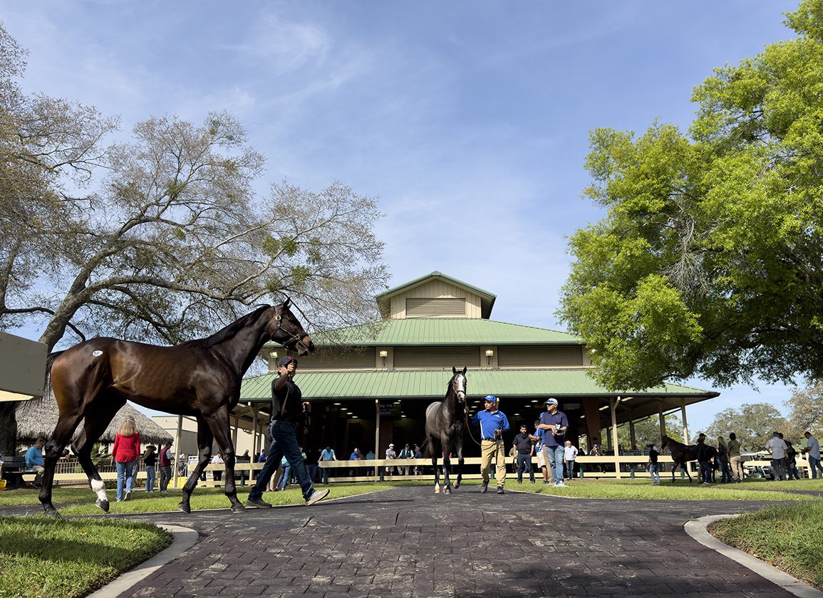 OBS Consolidates June Two-Year-Olds And Horses Of Racing Age Sale
