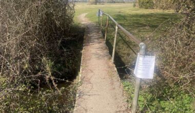 Forestry England on wrong side of New Forest bridge row