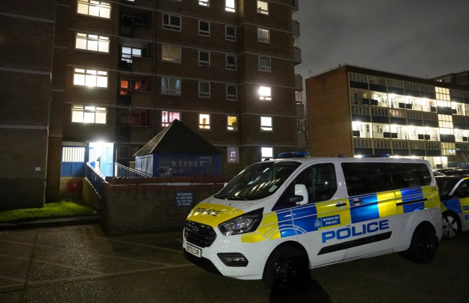 A police van at the scene on Ayley Croft in Enfield, after a male was found with stab wounds, despite the efforts of emergency services, he died at the scene. Picture date: Monday February 7, 2022. PA Photo. See PA story POLICE Enfield. Photo credit should read: Ian West/PA Wire