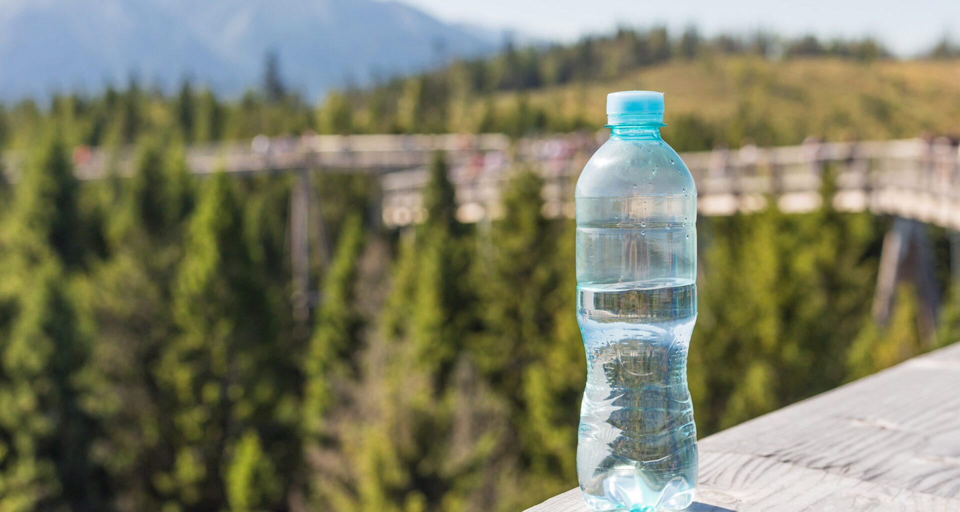 How long does plastic take to decompose? The answer is terrifying