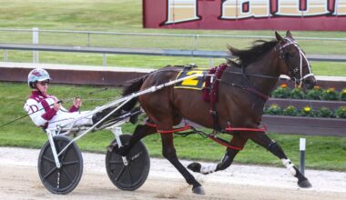 Mick On Monday: Horse wins race he was scratched from