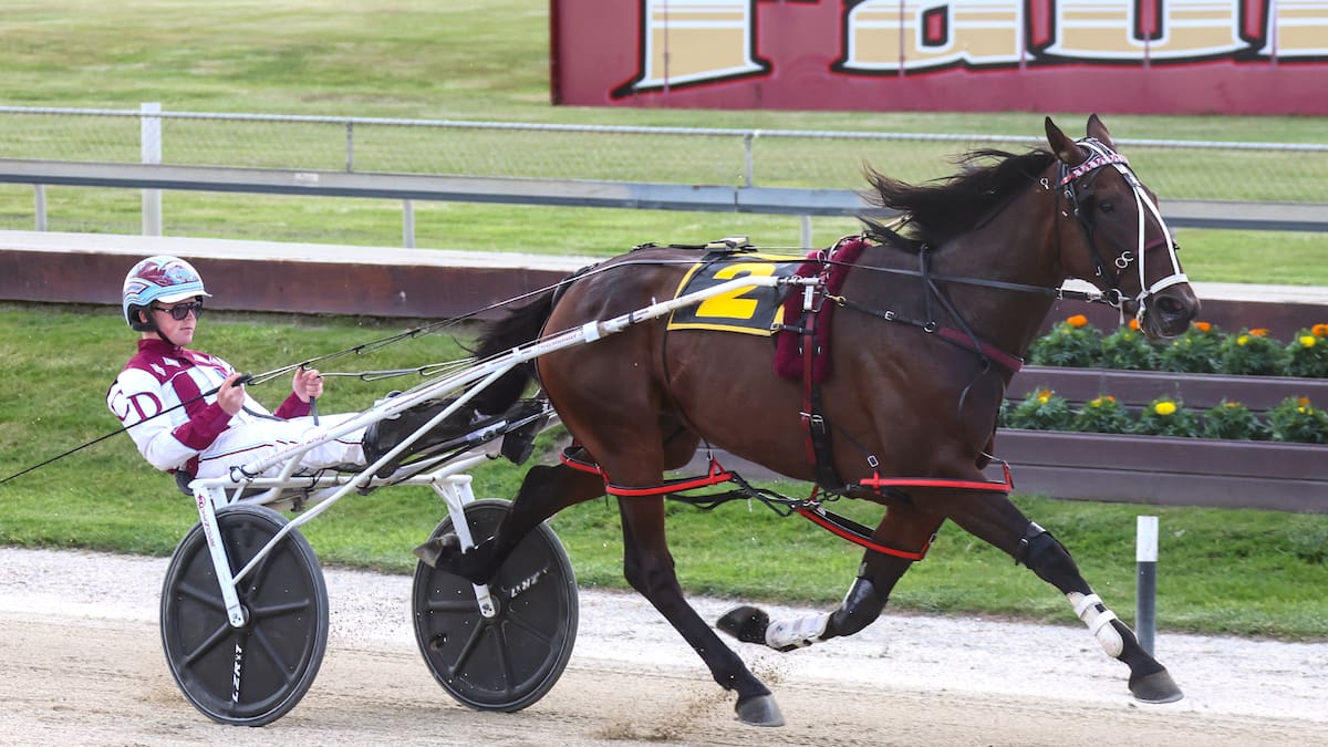 Mick On Monday: Horse wins race he was scratched from
