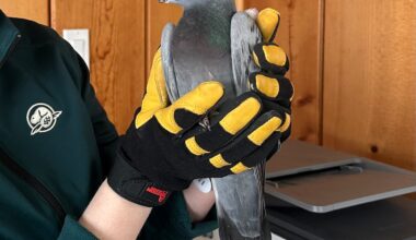 Racing pigeon from Spain has rare journey to Canada after wrong turn in Mediterranean