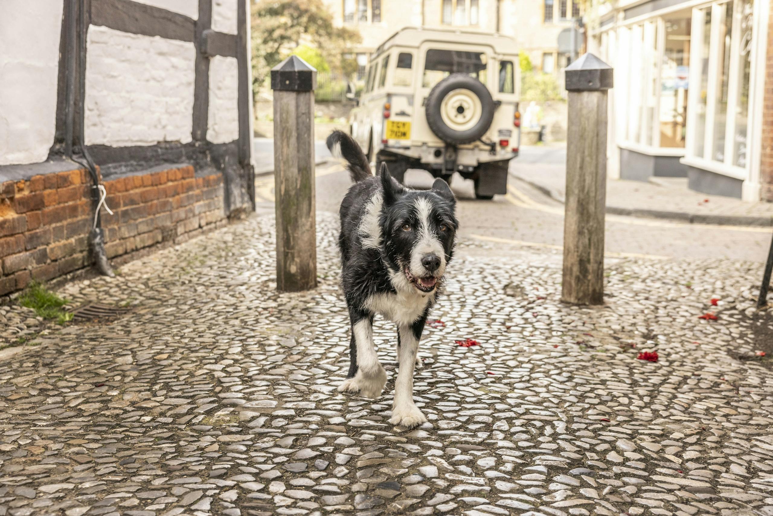 vintage land rover england road trip