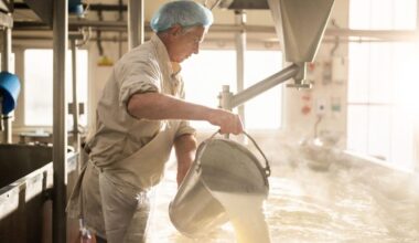 Why Cheddar could avoid a Trump tariff meltdown