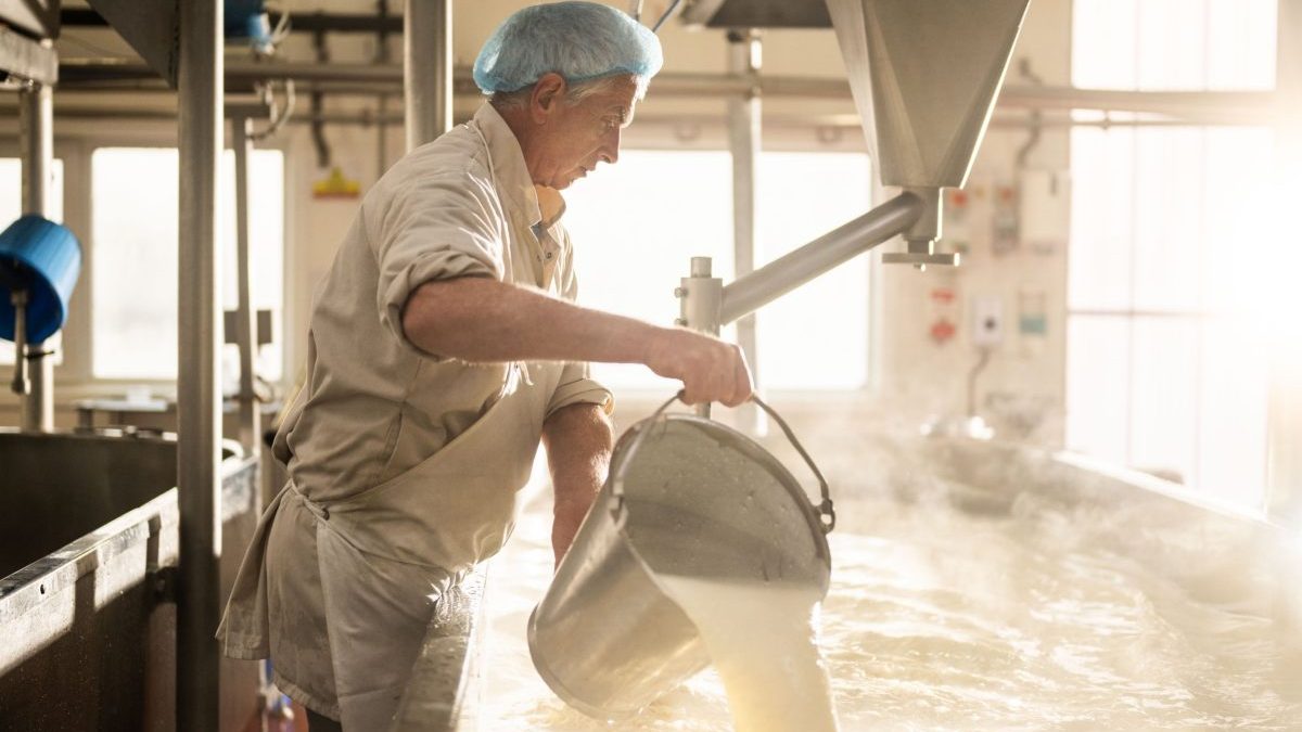 Why Cheddar could avoid a Trump tariff meltdown