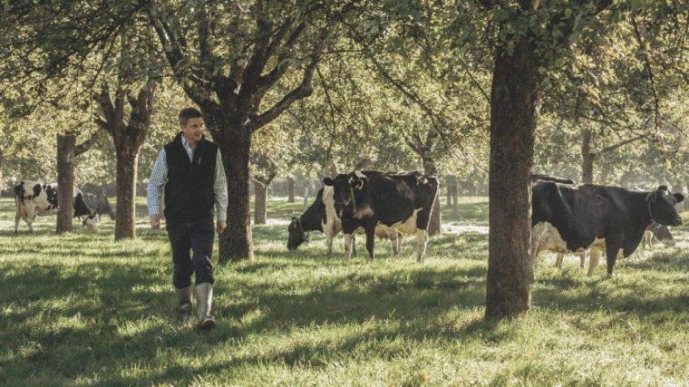 Giles Barber runs the oldest surviving cheddar producer in the world (Photo: Supplied) 