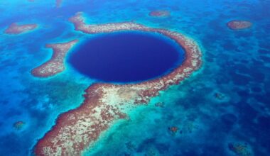 Mysterious 410ft Great Blue Hole in Belize hides a 'concerning' secret | News World
