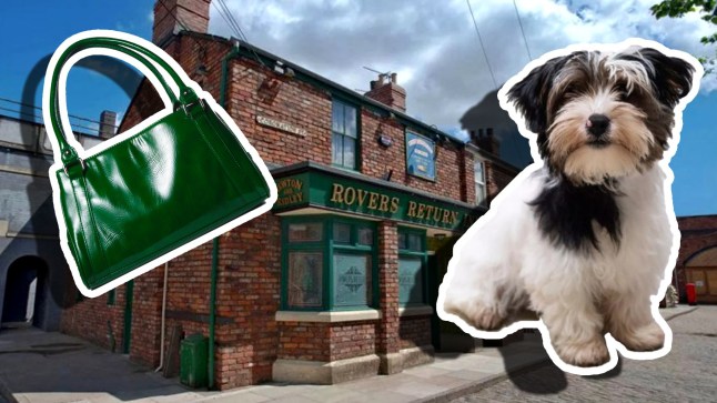 Freddie the dog and a handbag in front of the Rovers Return in Coronation Street