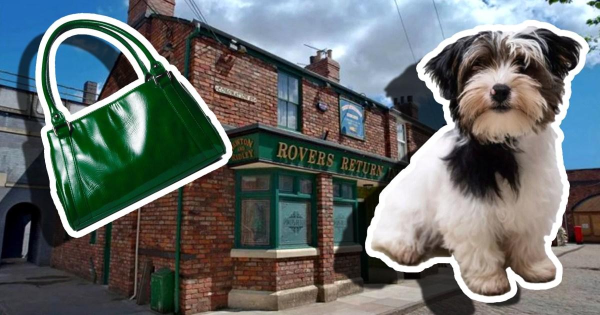 Coronation Street fans howling at blunder as 'dog becomes handbag' | Soaps