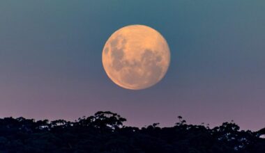 How to see the pink moon and blue giant star this weekend | News Tech